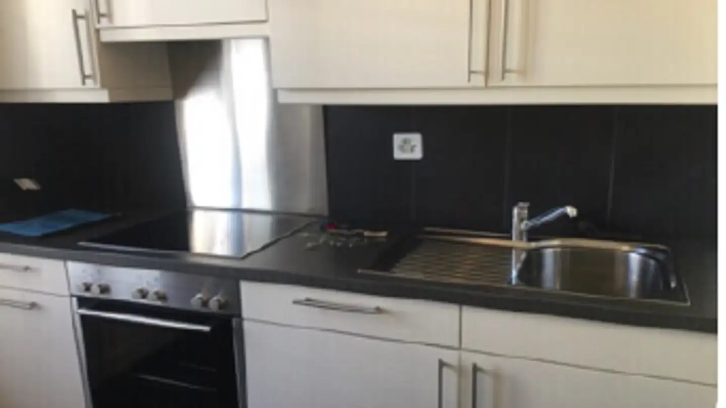 Appartamento in affitto - Boulevard Carl- Vogt 45, 1205 Genève