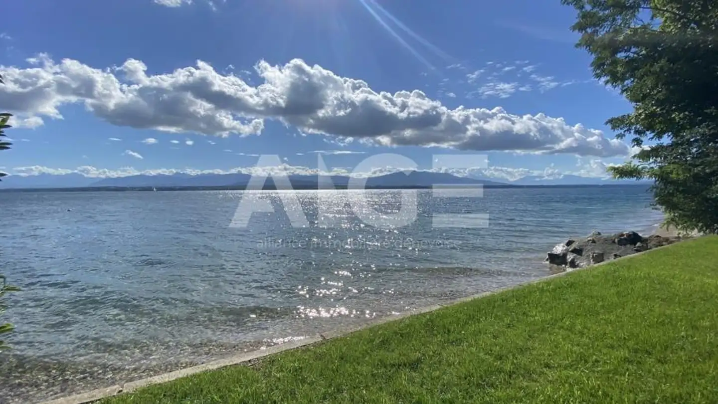 Villa for sale - 1110 Morges