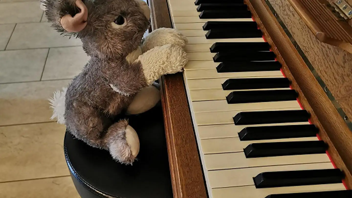 Casa a gradini in affitto - 8600 Dübendorf - Foto 4