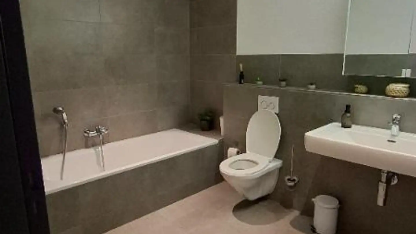 Appartamento ammobiliato in affitto - Delsbergerstrasse 101, 4242 Laufen - Foto 4