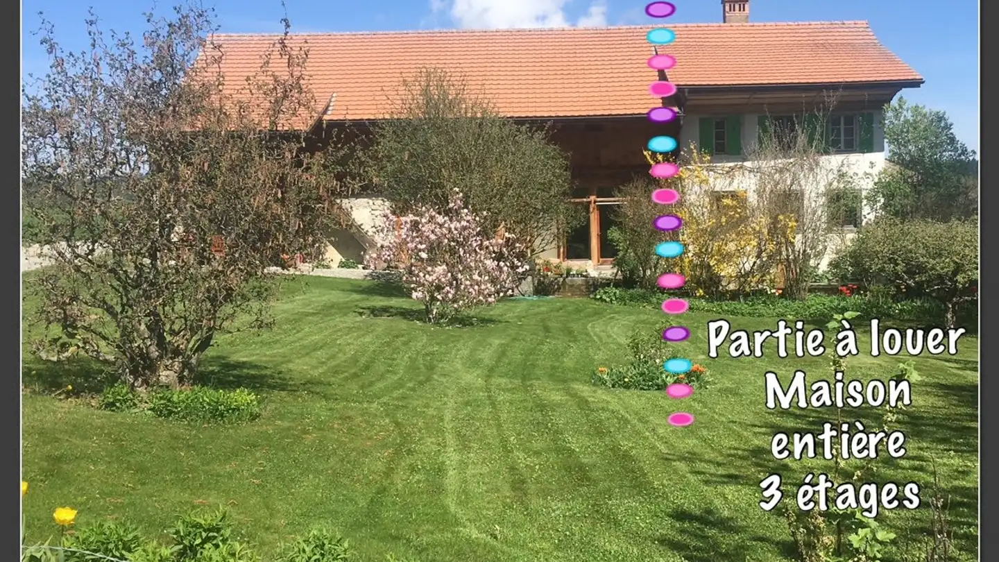 Single house for rent - Chemin Du Clos-Chatrossin 24, 1661 Le Pâquier-Montbarry