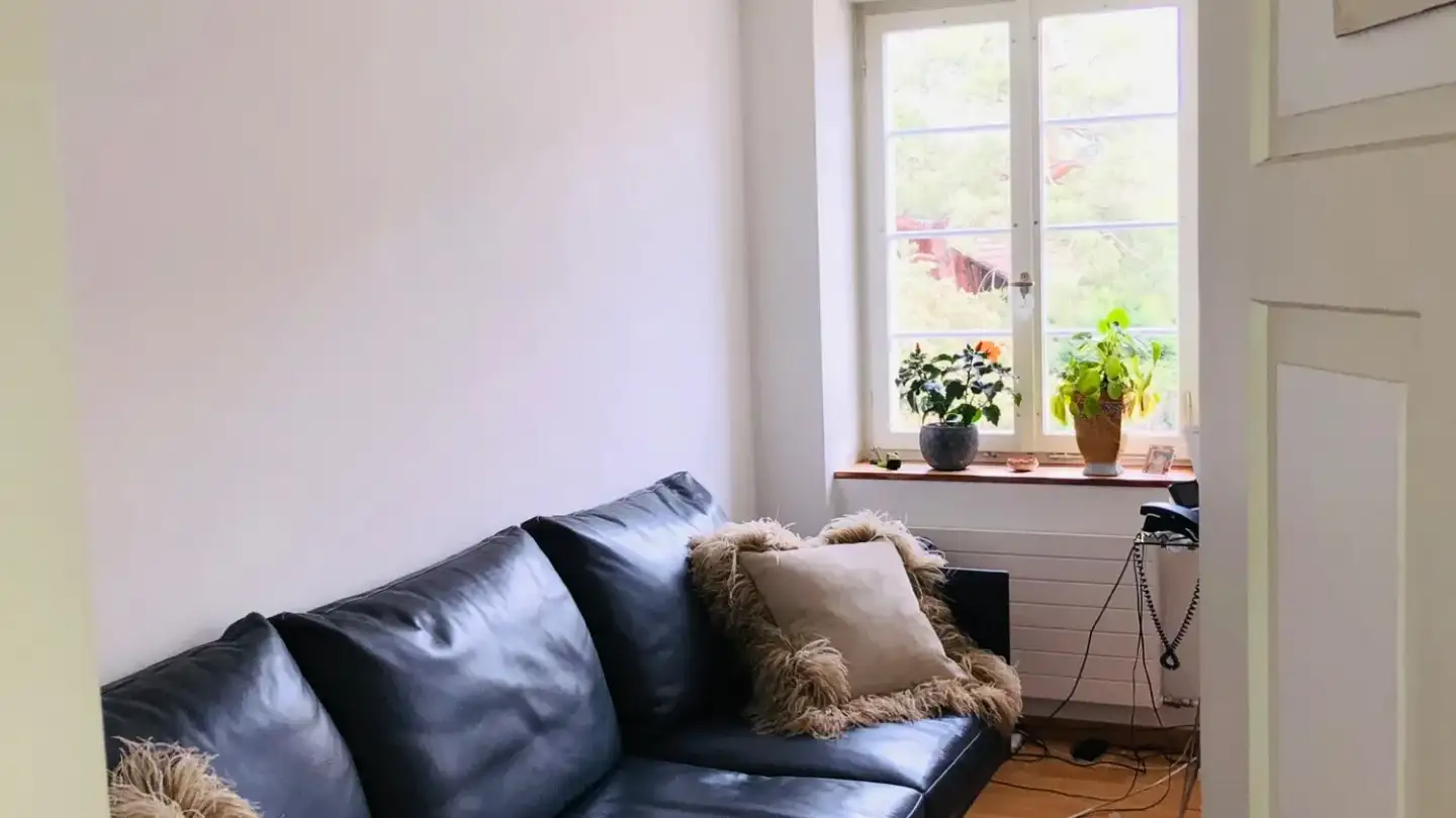 Chambre à louer - Flaachtalstrasse 35, 8459 Volken - Photo 3