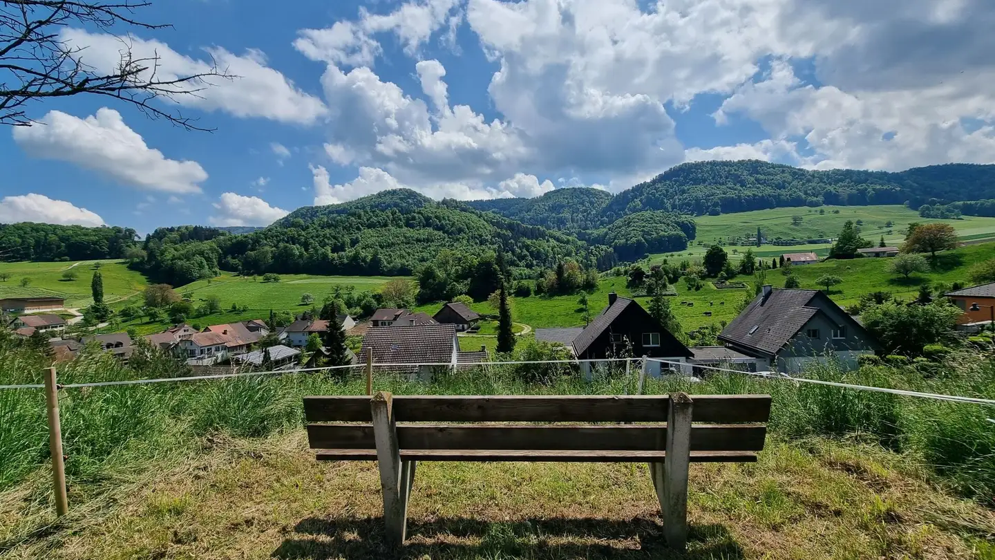 Terrain constructible à vendre - Fluhgasse, 4207 Bretzwil - Photo 2