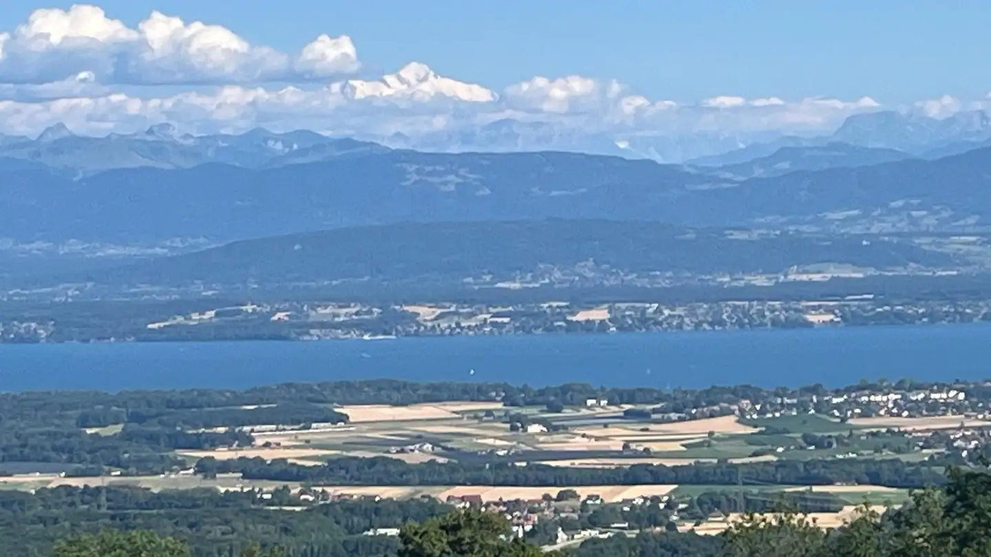 Casa singola in affitto - Route D'arzier, 1273 Arzier-Le Muids - Photo 3