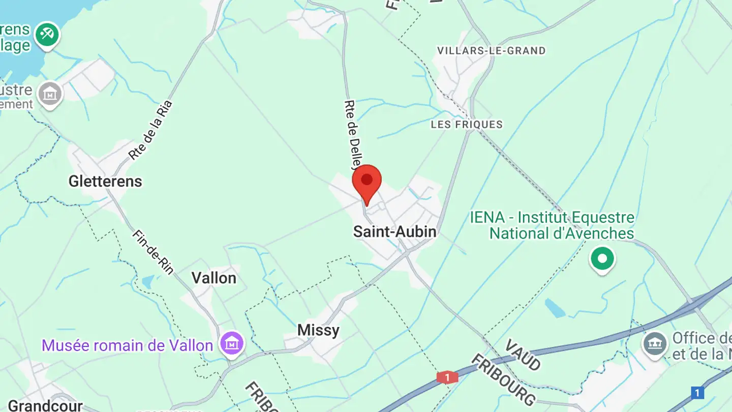 Appartement à vendre - Route De La Tsesard, 1566 St-Aubin FR - Photo 3