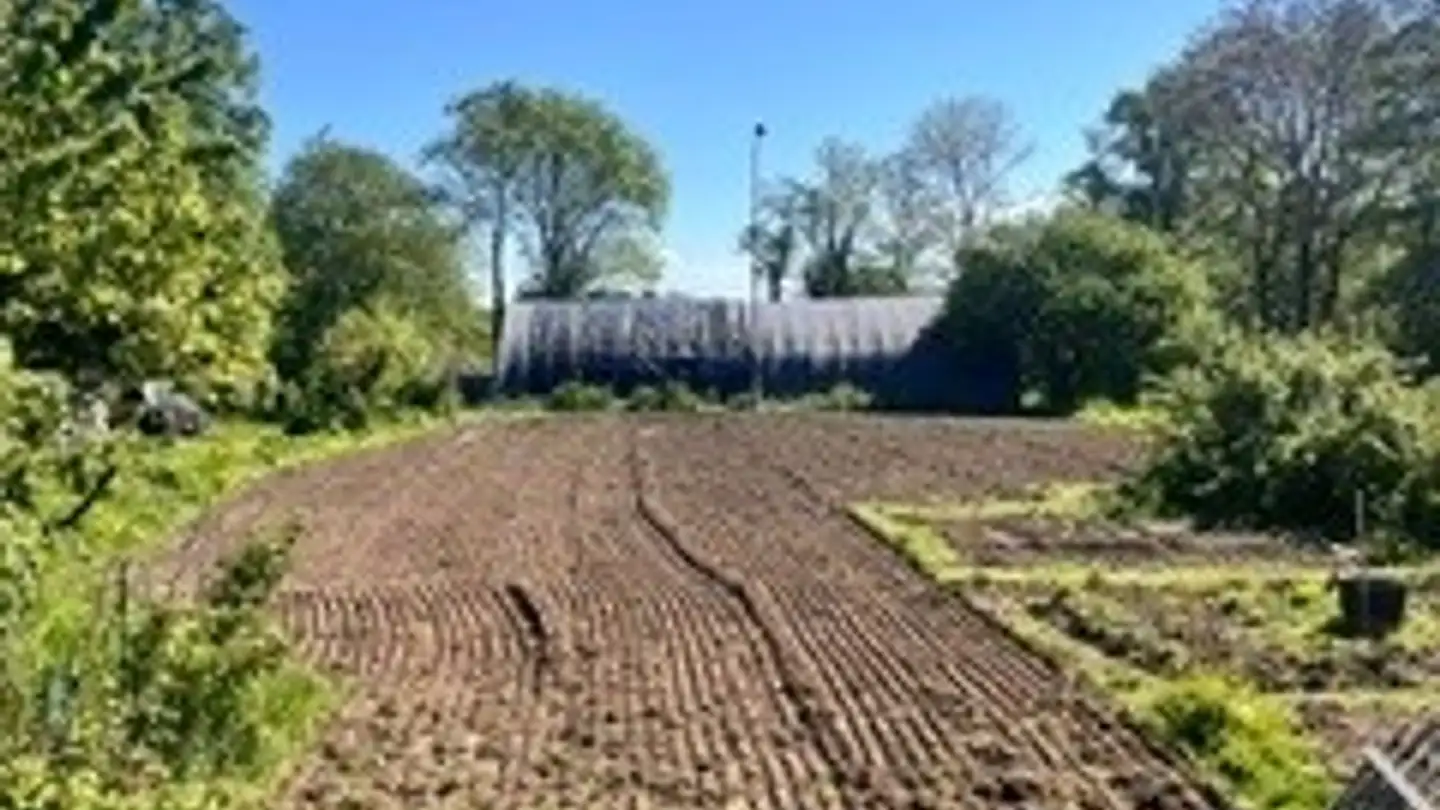 Jardin familial à louer - Route D'echallens 10, 1082 Corcelles-le-Jorat