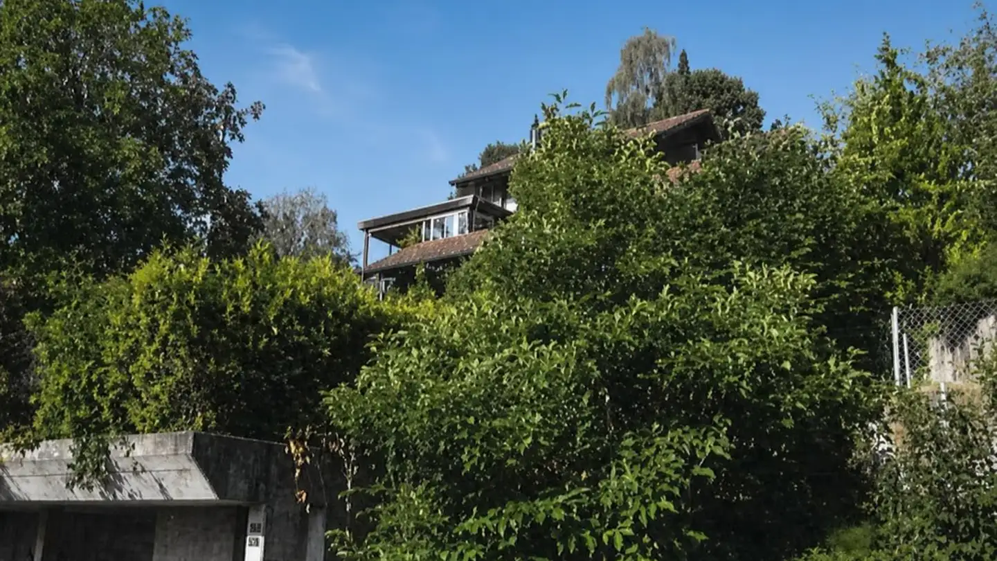 Single house for sale - Gartenstrasse 11, 5712 Beinwil am See