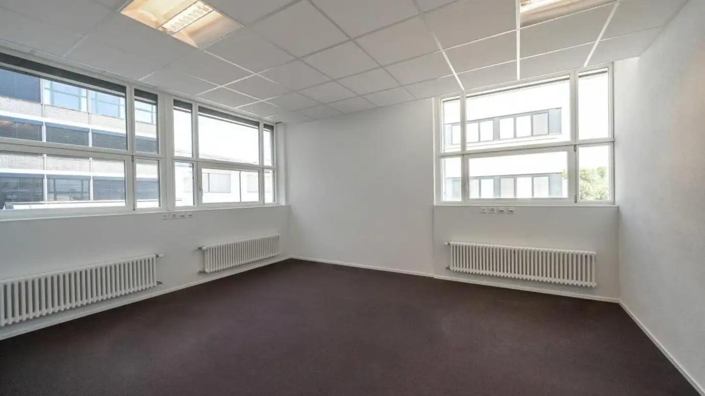 Commerciale in affitto - Schlossgasse 4, 9320 Arbon - Foto 2