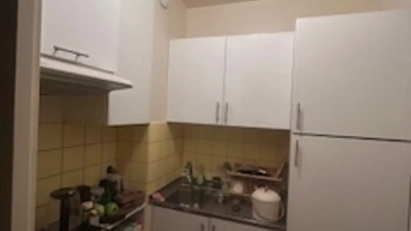 Appartamento ammobiliato in affitto - Route De Jussy, 1241 Puplinge - Photo 4