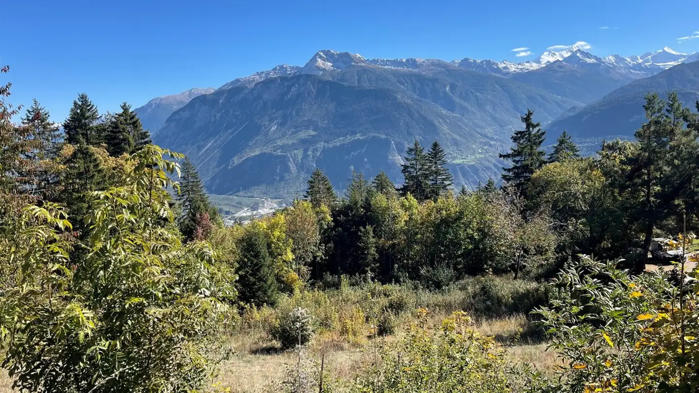 Terrain constructible à vendre - 3975 Randogne
