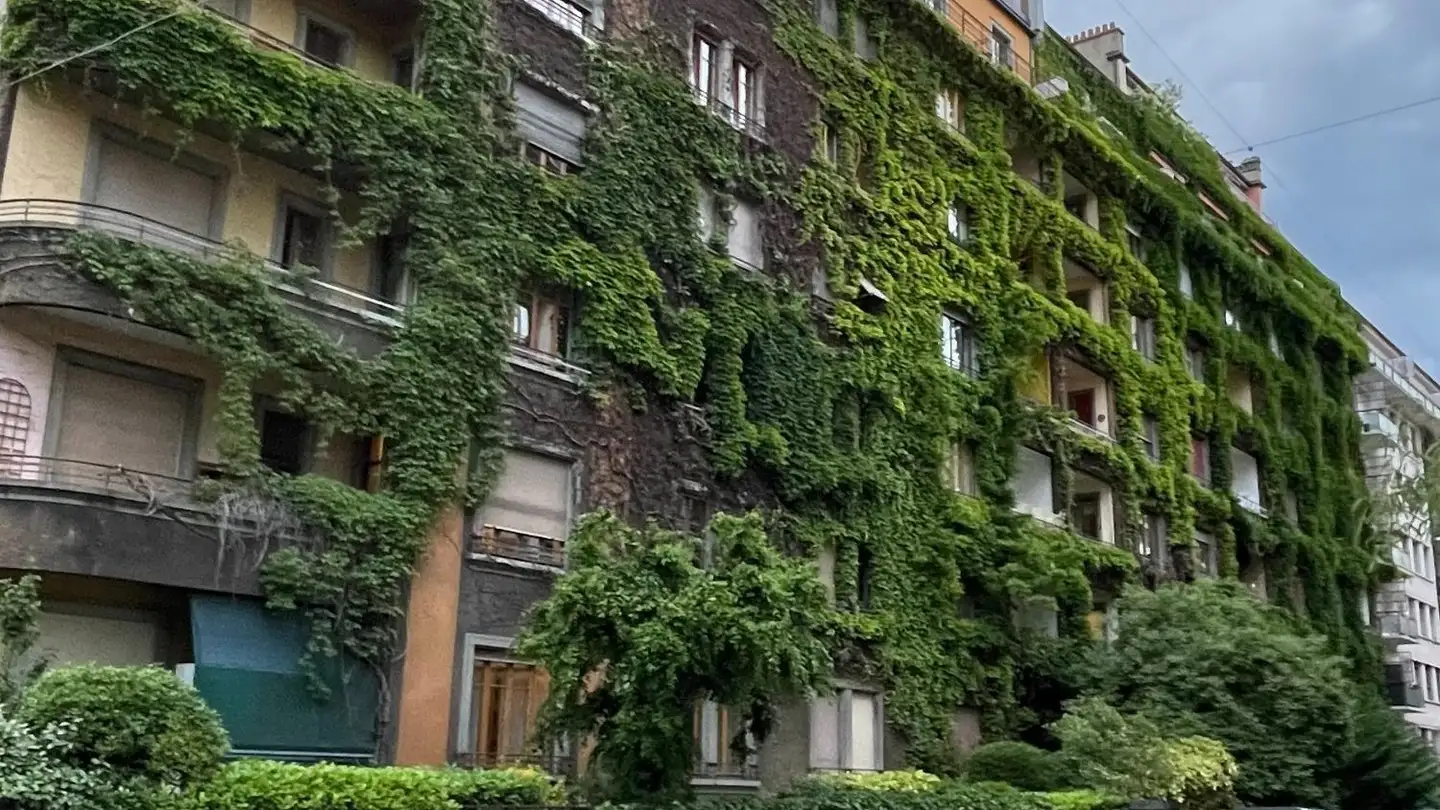 Appartement à louer - Rue De Contamines 30, 1206 Genève