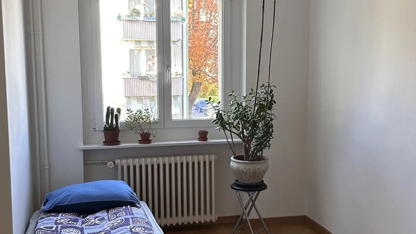 Zimmer mieten - 8048 Zürich