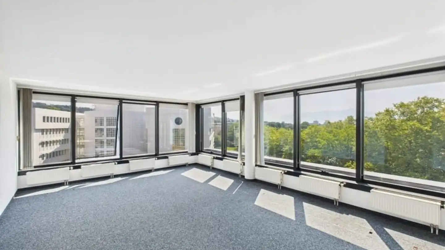 Commercial à louer - Avenue Des Baumettes 3, 1020 Renens VD