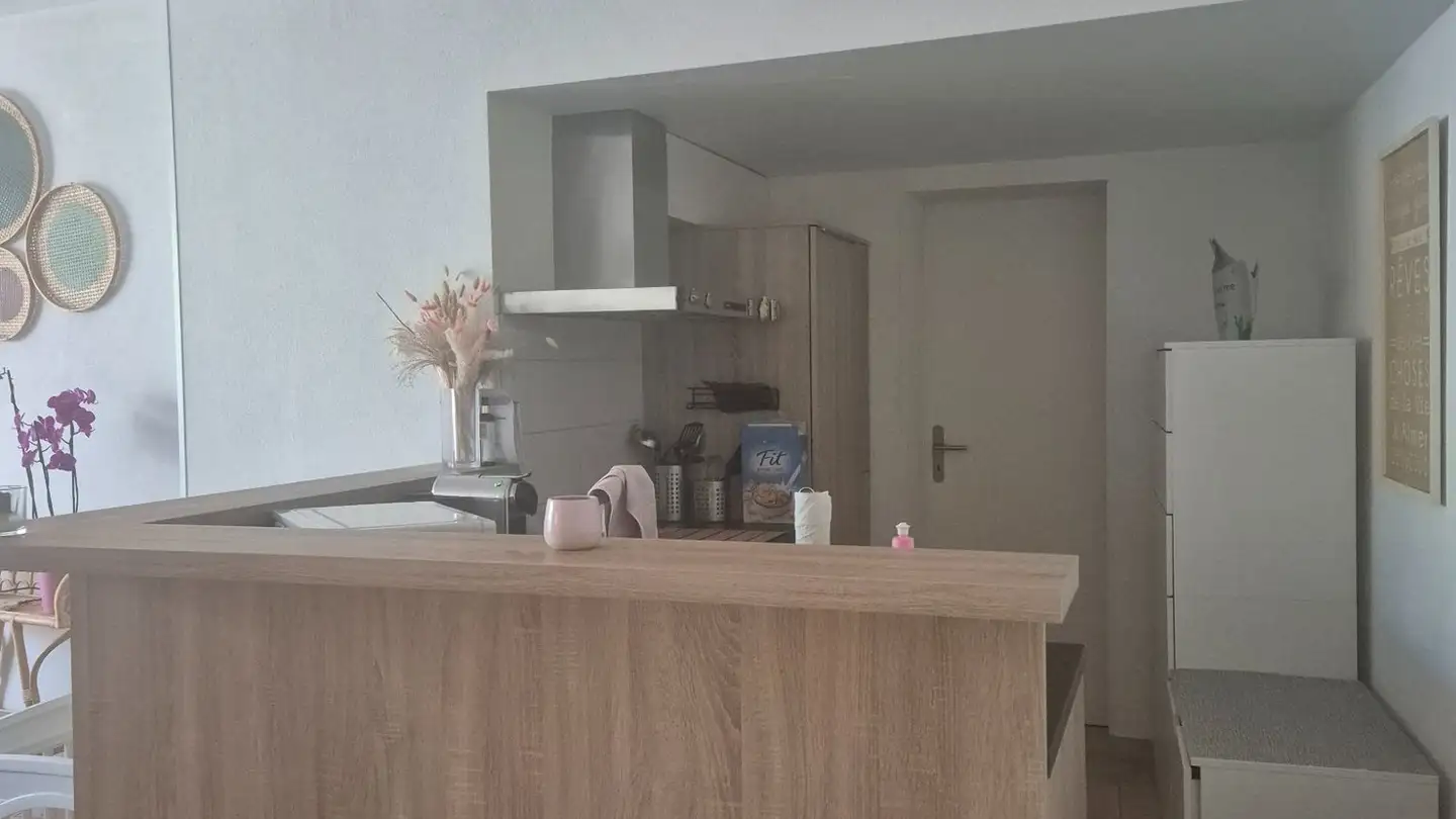 Wohnung mieten - Chemin Du Carroz 5, 1020 Renens VD