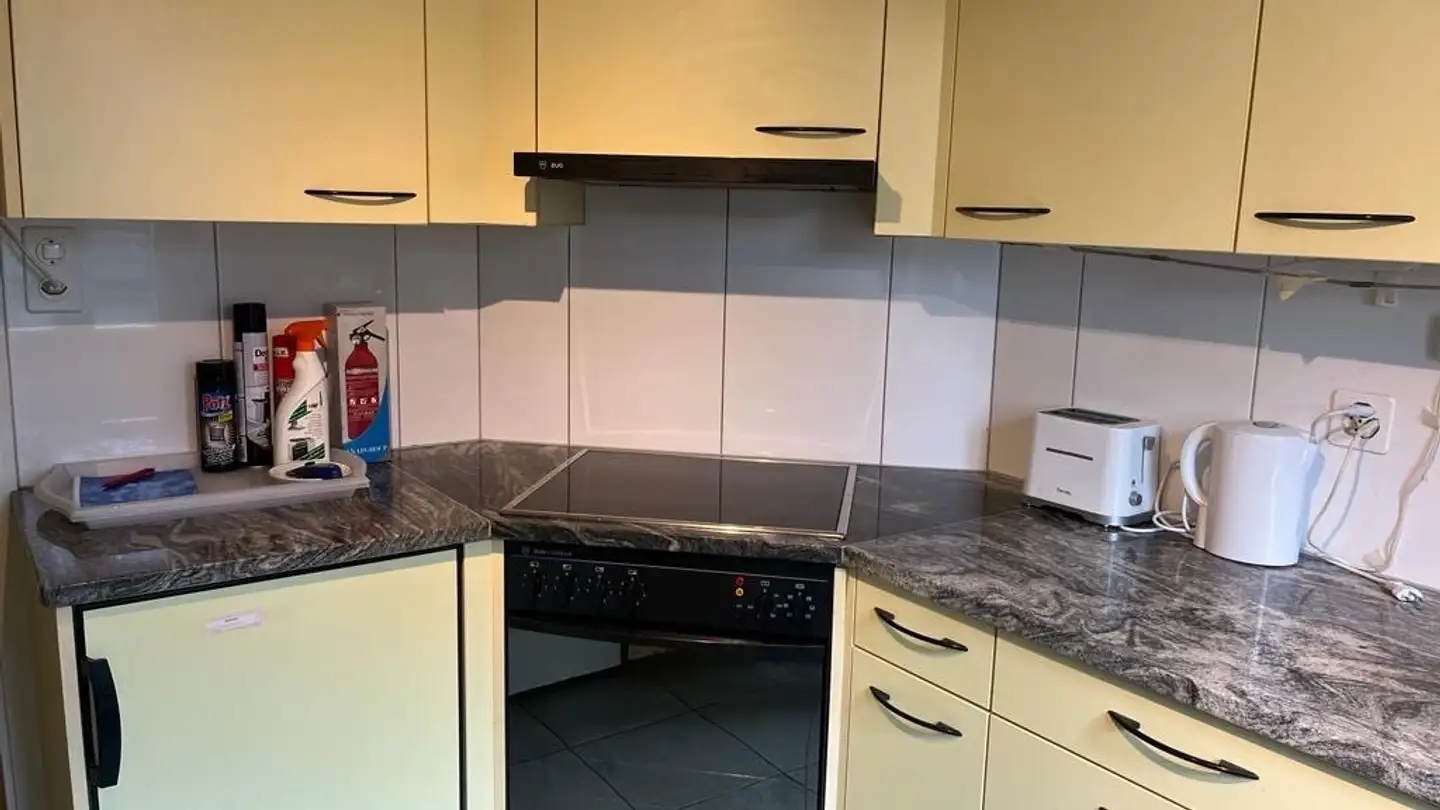 Single room for rent - Untere Bahnhofstrasse 20, 8640 Rapperswil SG - Photo 2