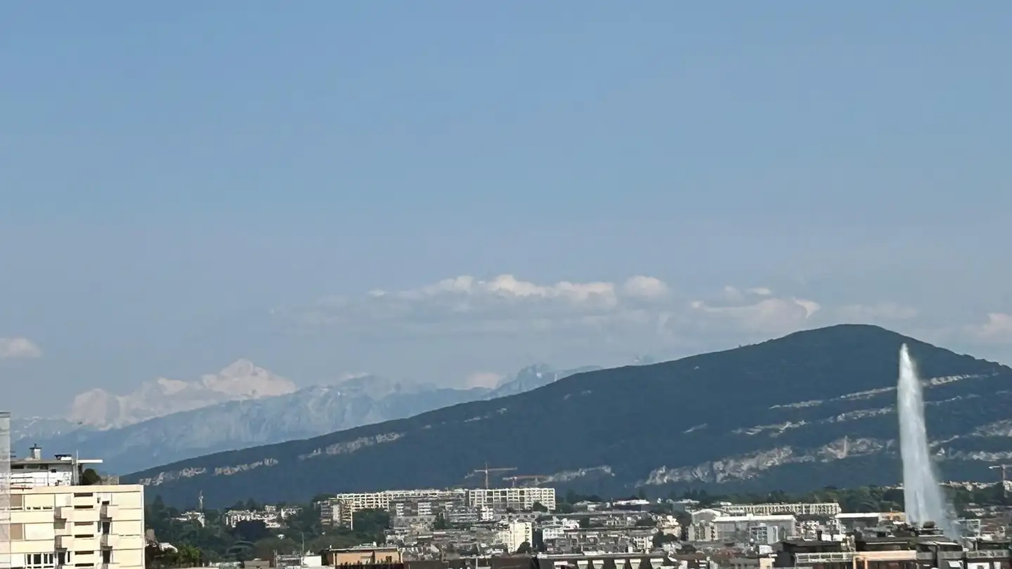 Appartement à louer - La Voie-Creuse 3, 1202 Genève