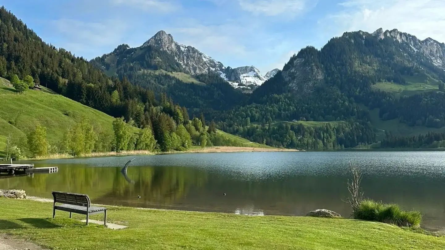 Studio à louer - 1716 Schwarzsee