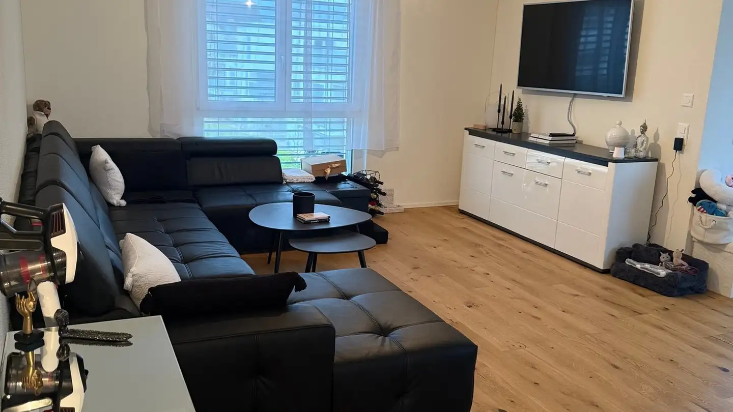 Appartamento in affitto - 8952 Schlieren