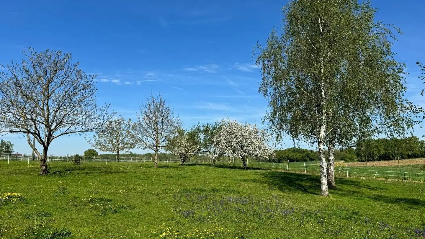 Farm for sale - 3065 Bolligen - Photo 4