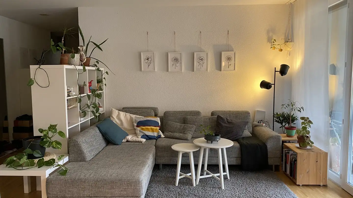 Stanza singola in affitto - 8400 Winterthur - Photo 4