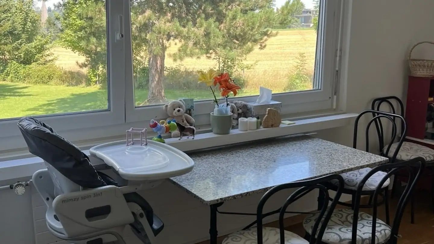 Apartment for rent - 8125 Zollikerberg