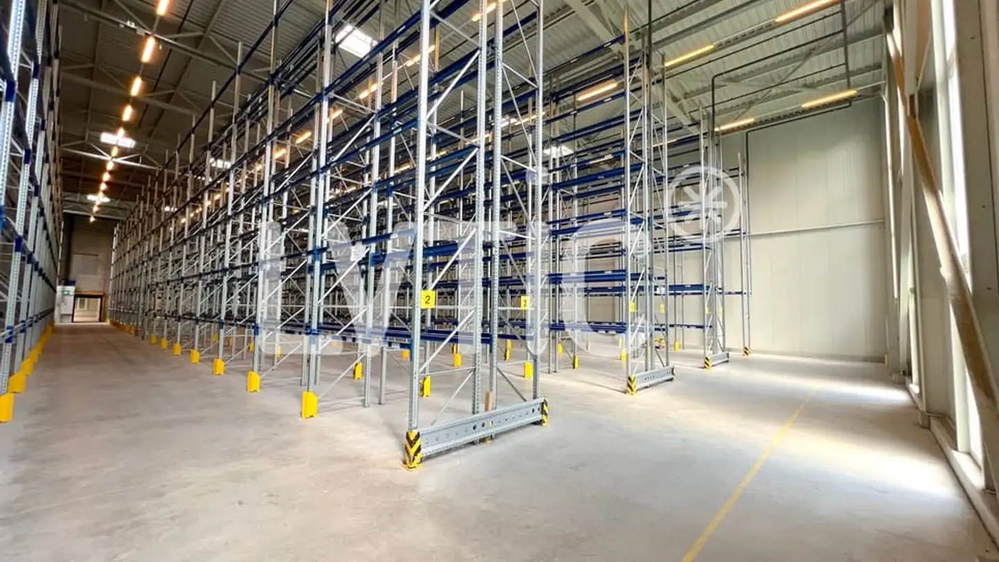 Commerciale in affitto - 1026 Echandens - Photo 4