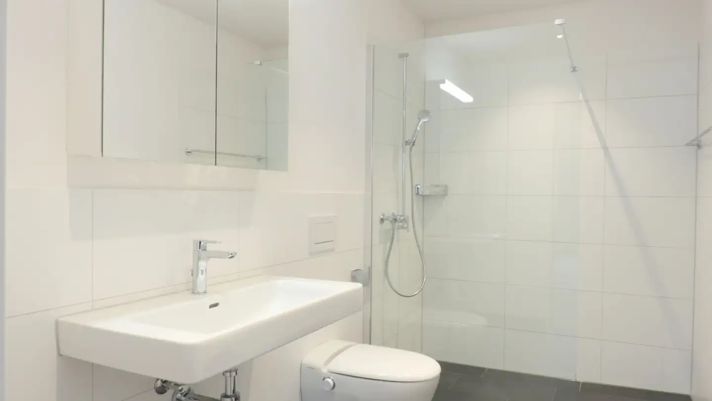 Apartment for rent - Wassergasse, 9000 St. Gallen - Photo 3