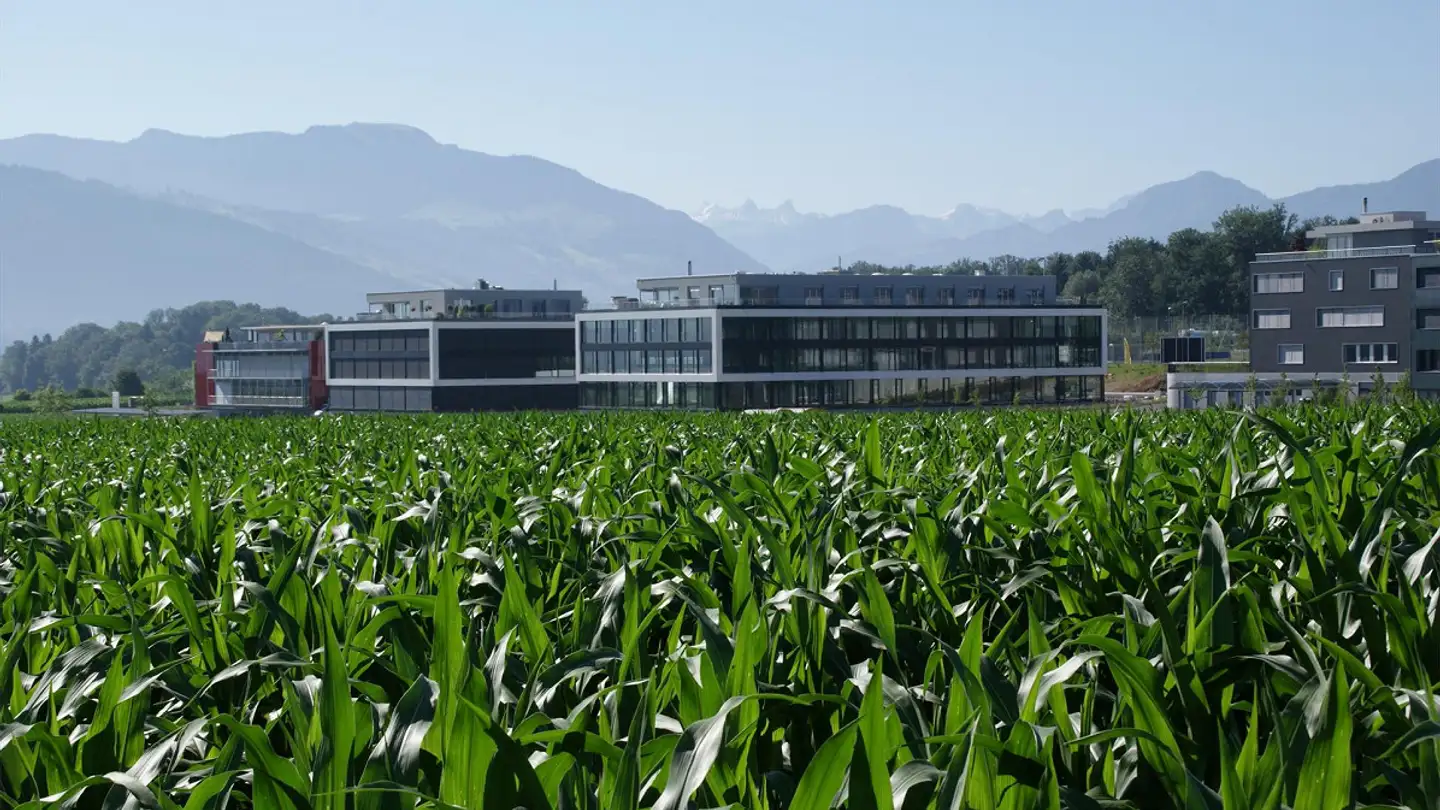 Office space for rent - Rothusstrasse 15, 6331 Hünenberg