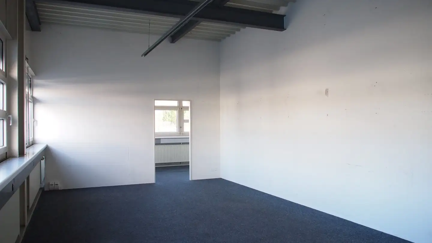 Spazio di archiviazione in affitto - Werbhollenstrasse 54, 4143 Dornach - Foto 4