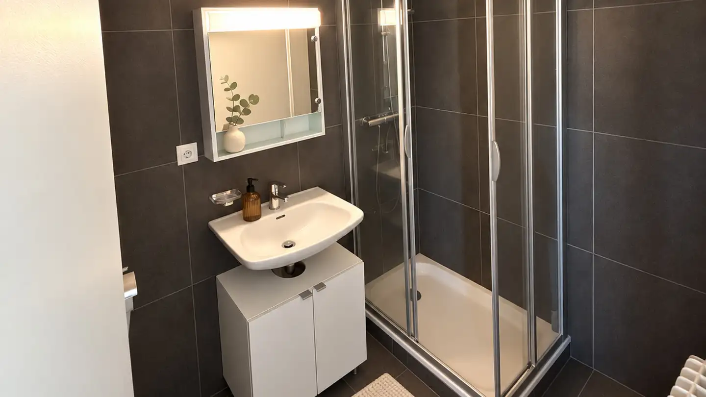 Studio for rent - Route De Saint-Cergue 50, 1260 Nyon - Photo 3