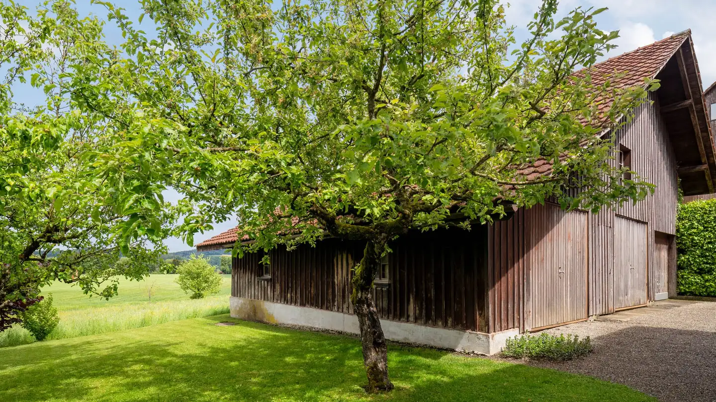 Constructible plot for sale - Rikonerstrasse 24, 8489 Wildberg - Photo 4