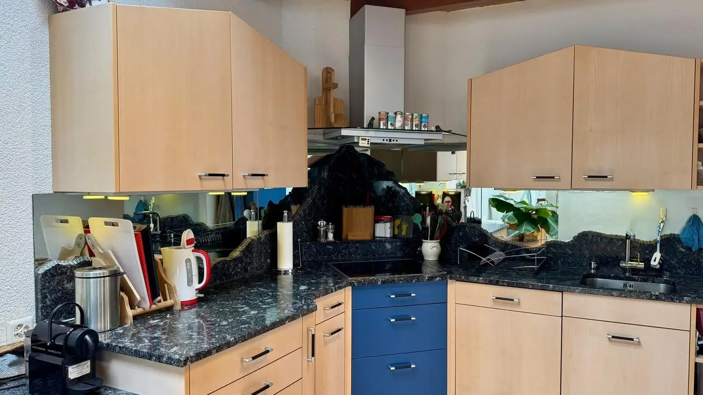 Single room for rent - 8964 Rudolfstetten - Photo 4