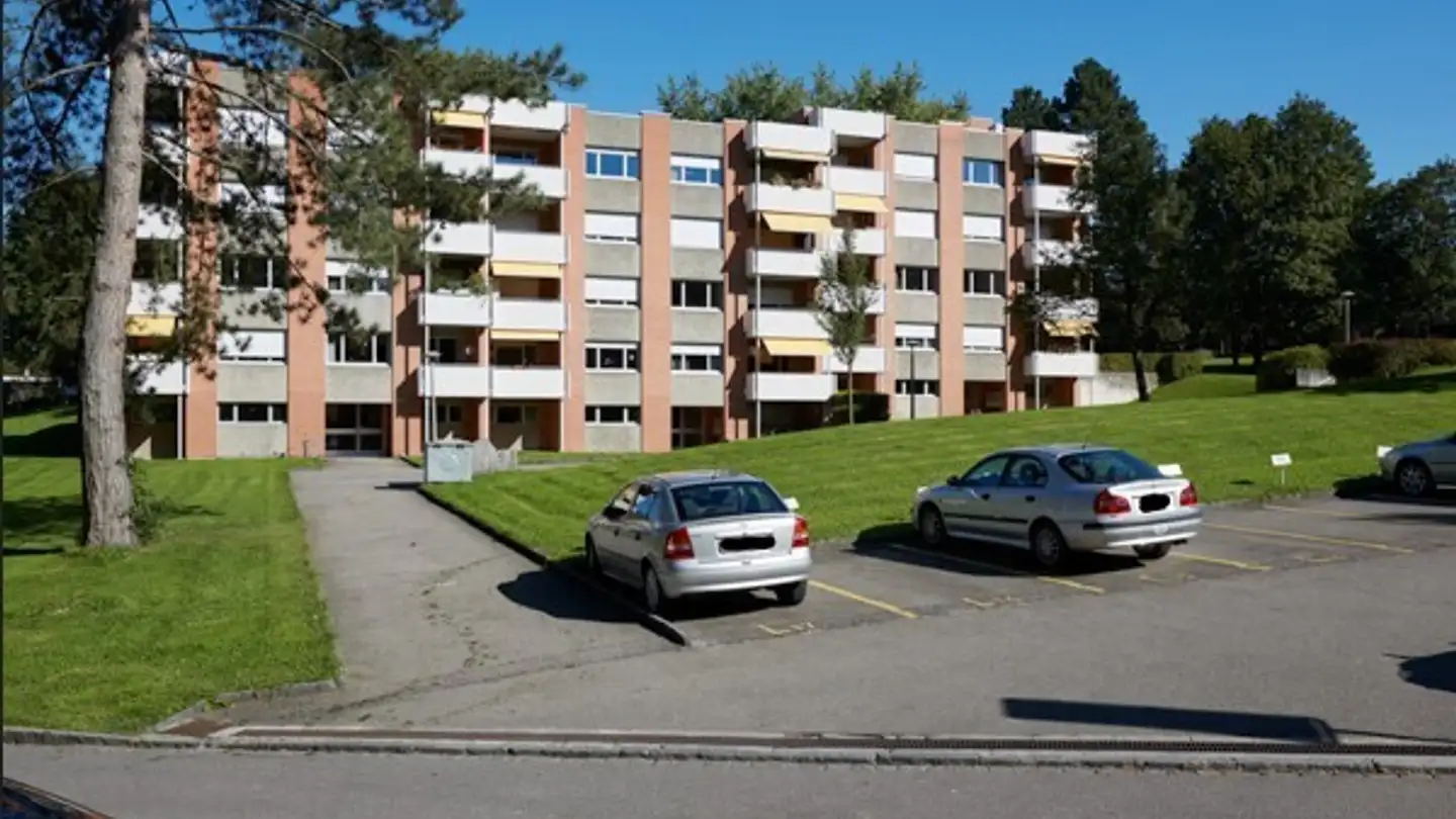 Outdoor parking space for rent - Holeeholzweg, 4102 Binningen