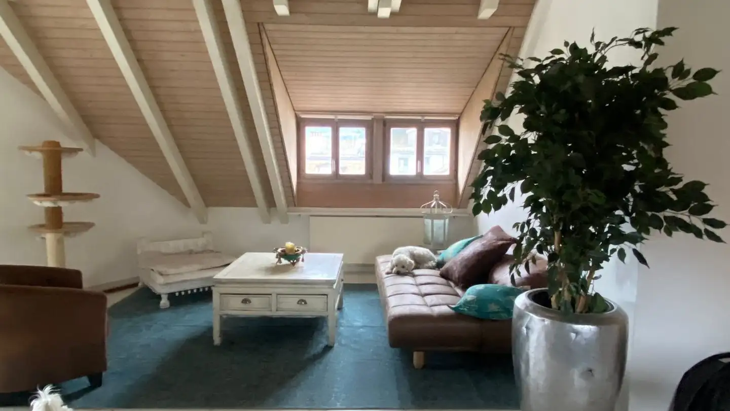 Penthouse for rent - Obere Zäune, 8001 Zürich - Photo 4