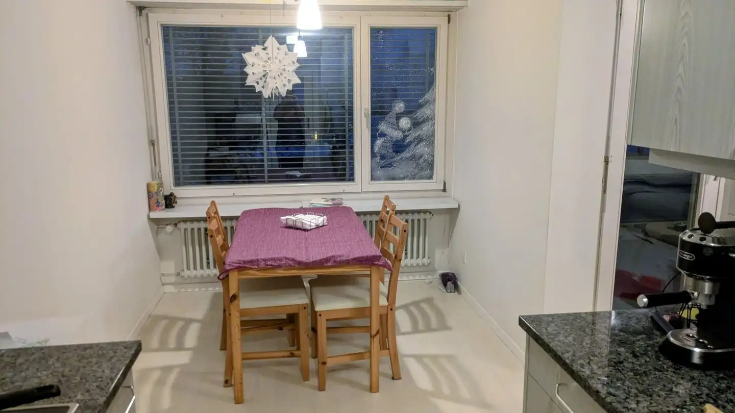 Apartment for rent - Diggelmannstrasse 22, 8047 Zürich - Photo 4