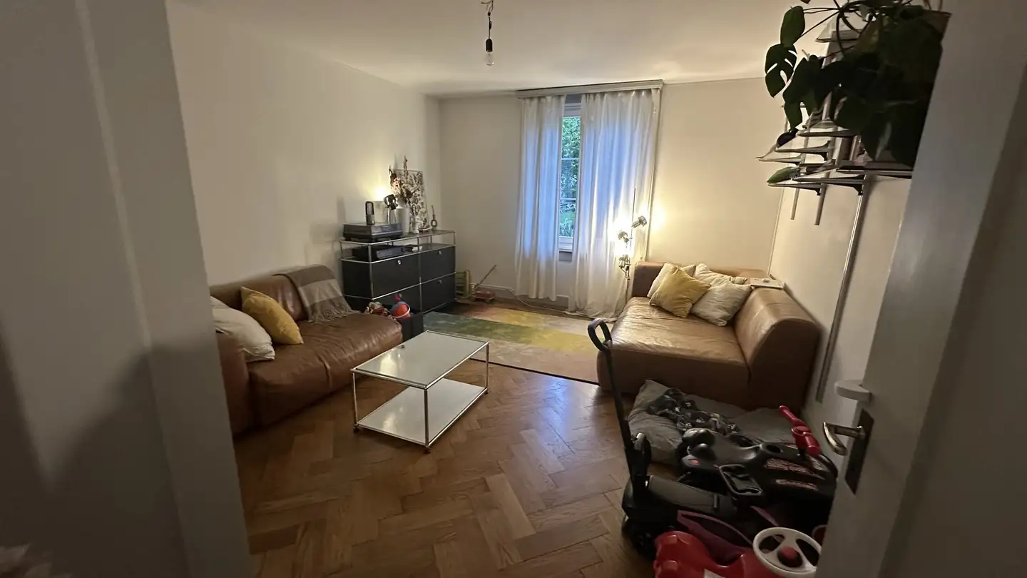 Appartamento ammobiliato in affitto - 3018 Bern