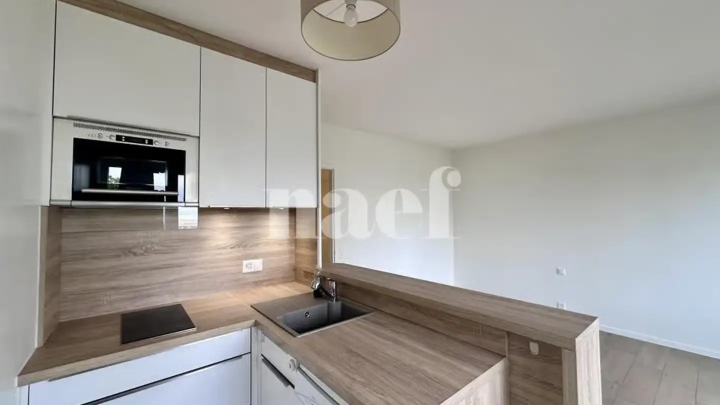Wohnung mieten - Chemin Rieu 20, 1208 Genève - Foto 4