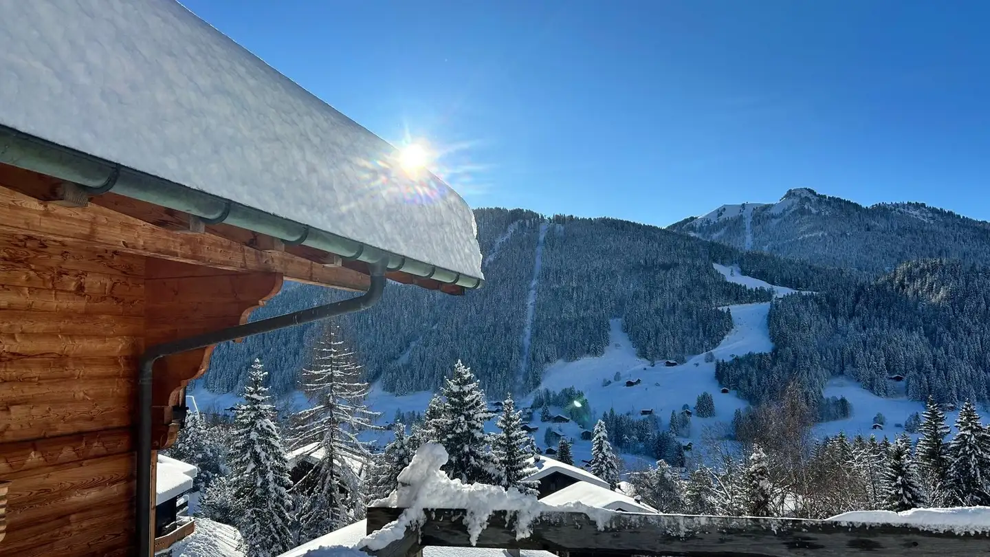 Apartment for rent - Chemin De La Vuargnaz 18, 1865 Les Diablerets