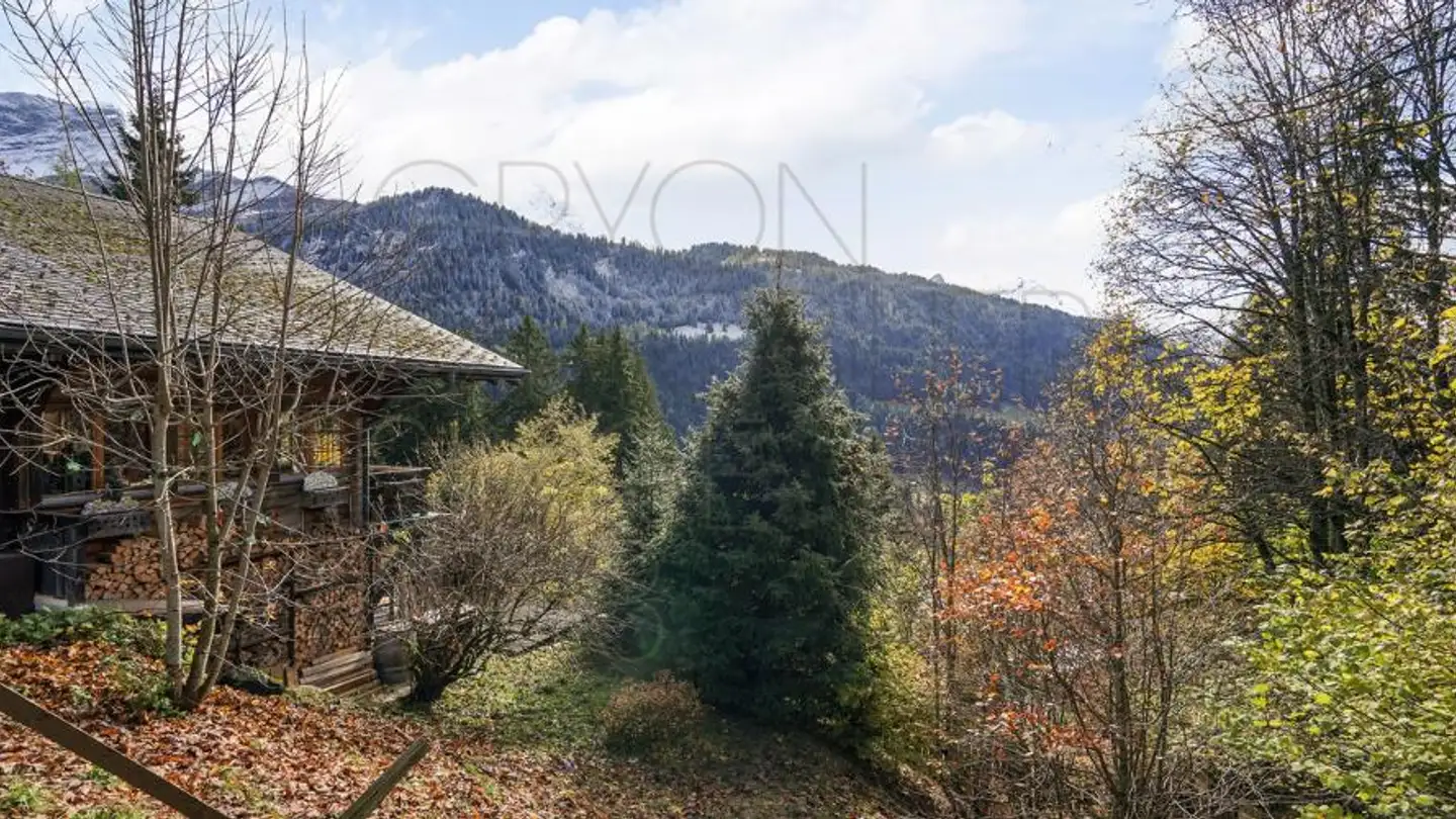 Chalet à vendre - Chemin De La Traverse 38, 1882 Gryon - Photo 2