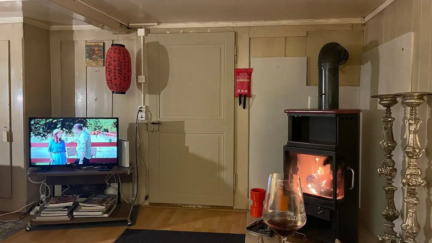 Apartment for rent - Route Du Fragnolet, 1660 Château-d'Oex - Photo 2