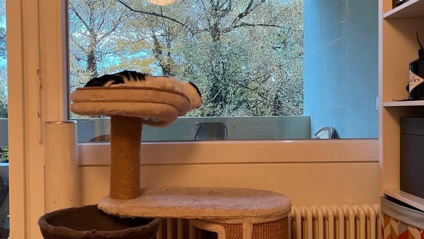 Stanza singola in affitto - Chemin De La Milice 6, 1228 Plan-les-Ouates - Photo 4