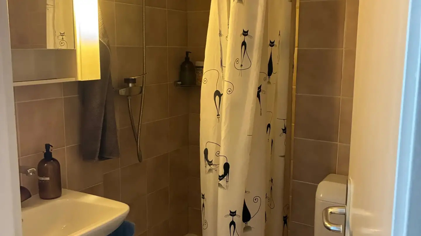 Chambre à louer - Chemin Du Salève, 1004 Lausanne - Photo 4