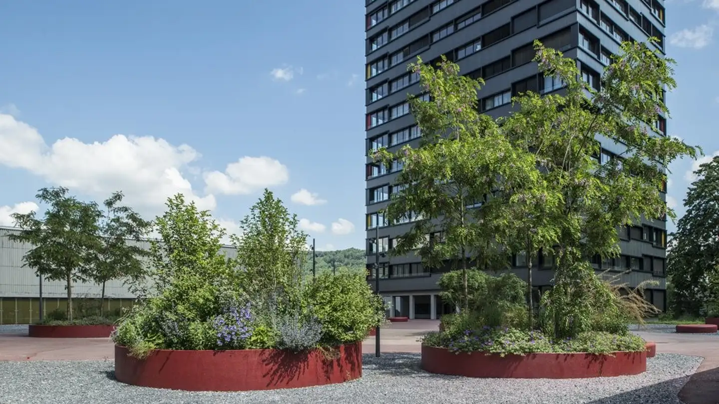 Appartamento in affitto - Wiesenstrasse 30a, 5400 Baden