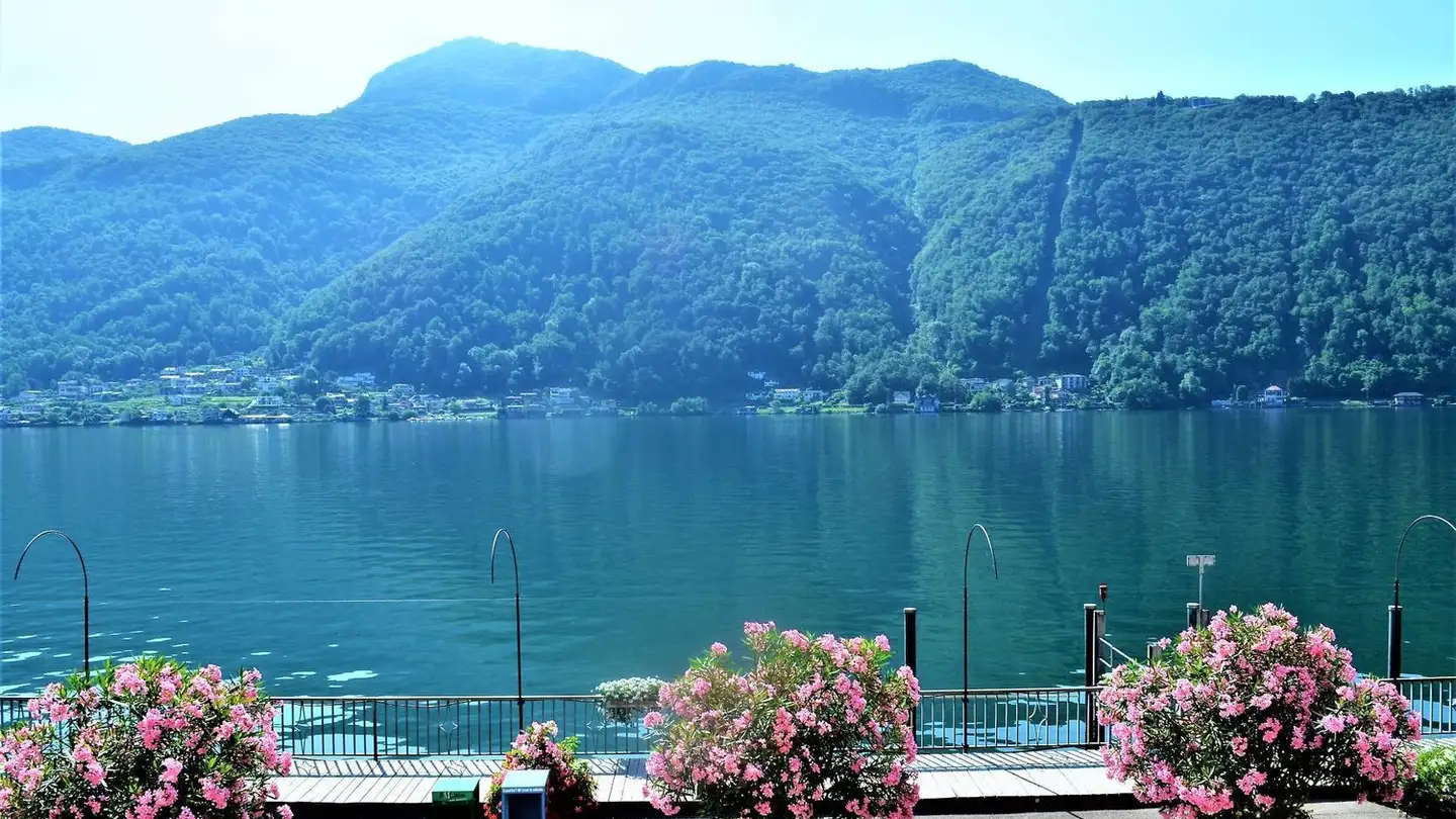 Shop for rent - 6922 Morcote