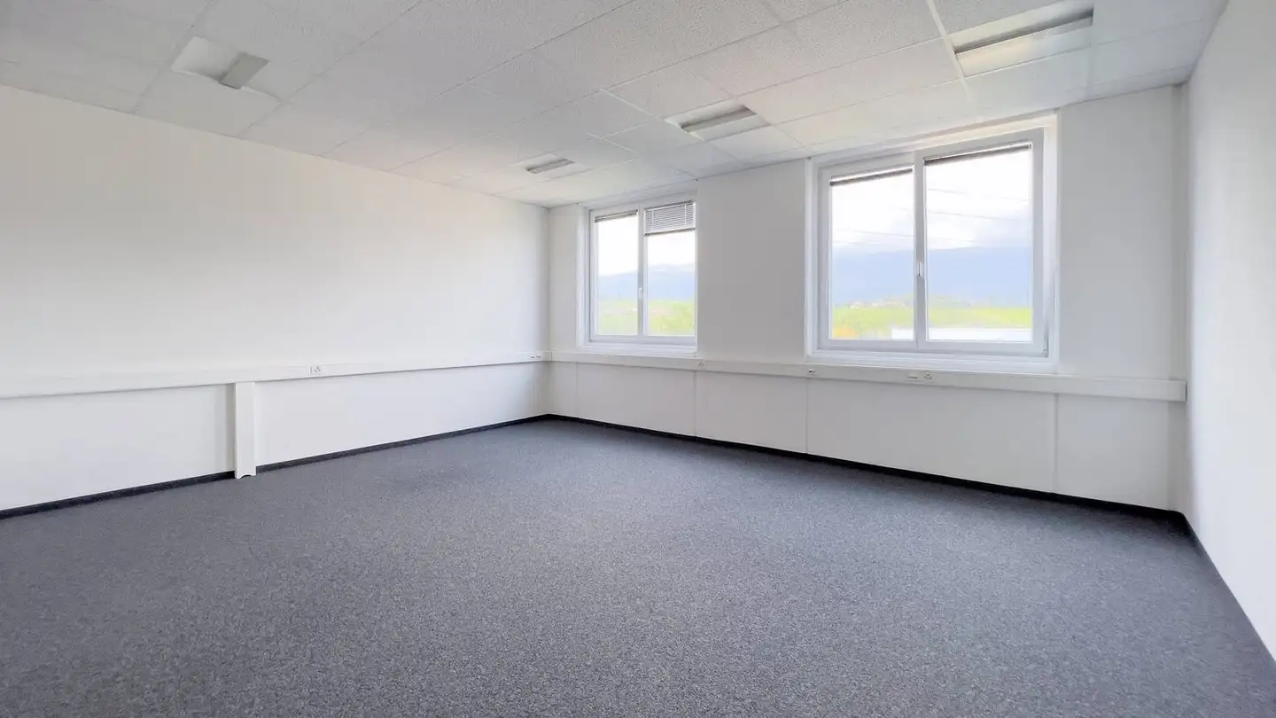 Bureau à louer - Rue Du Pré-De-La-Fontaine 19, 1242 Satigny - Photo 3