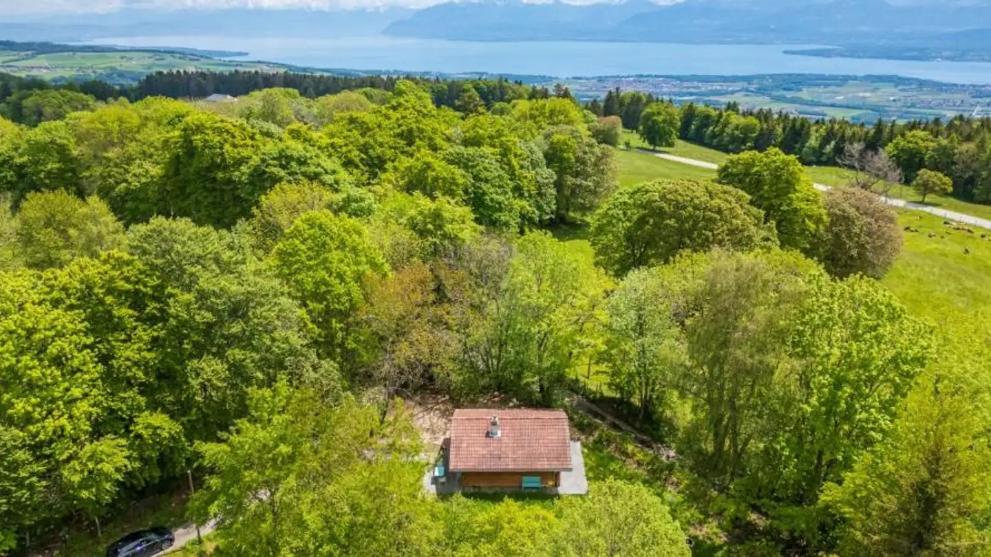 Chalet for sale - Chemin Du Prêche, 1264 St-Cergue - Photo 2