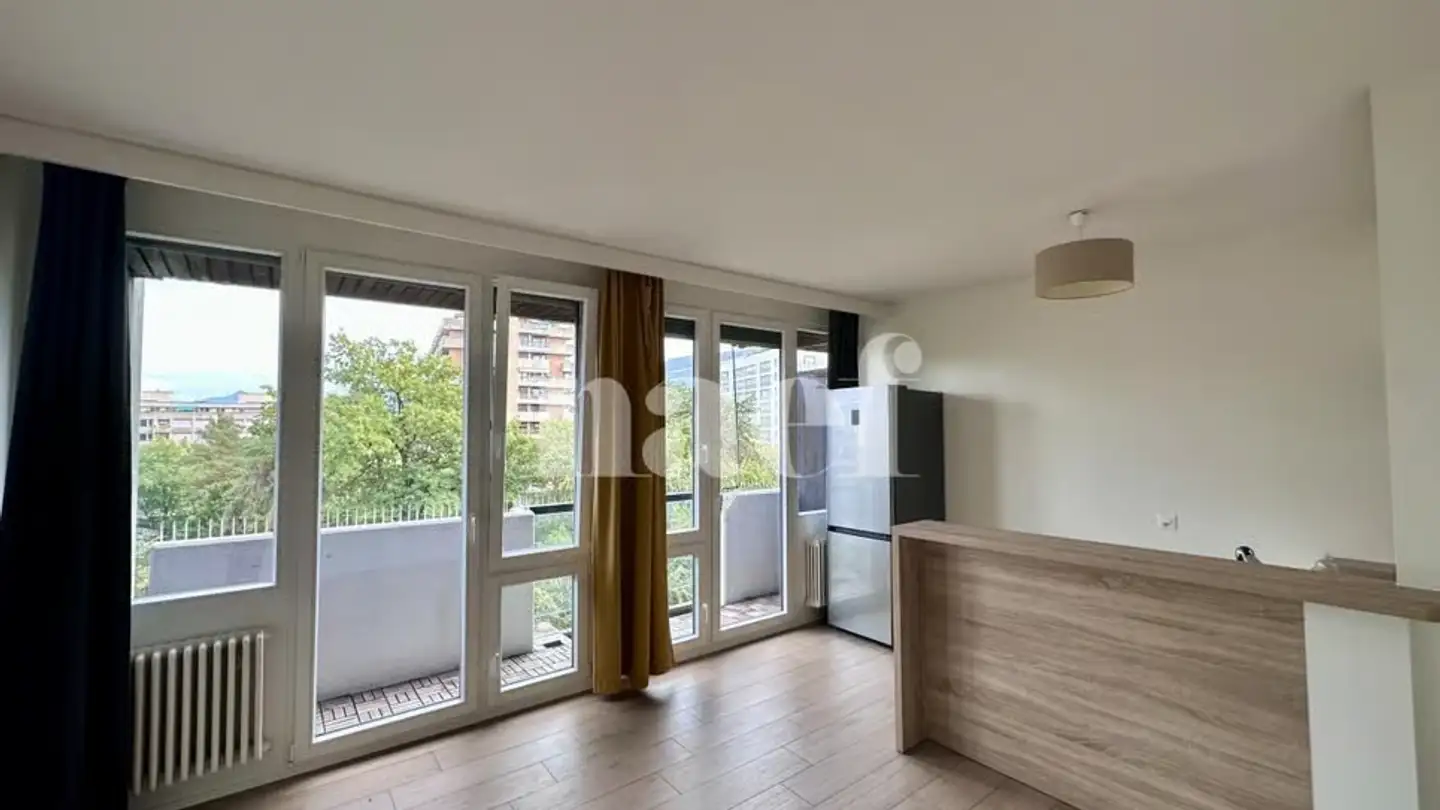 Wohnung mieten - Chemin Rieu 20, 1208 Genève