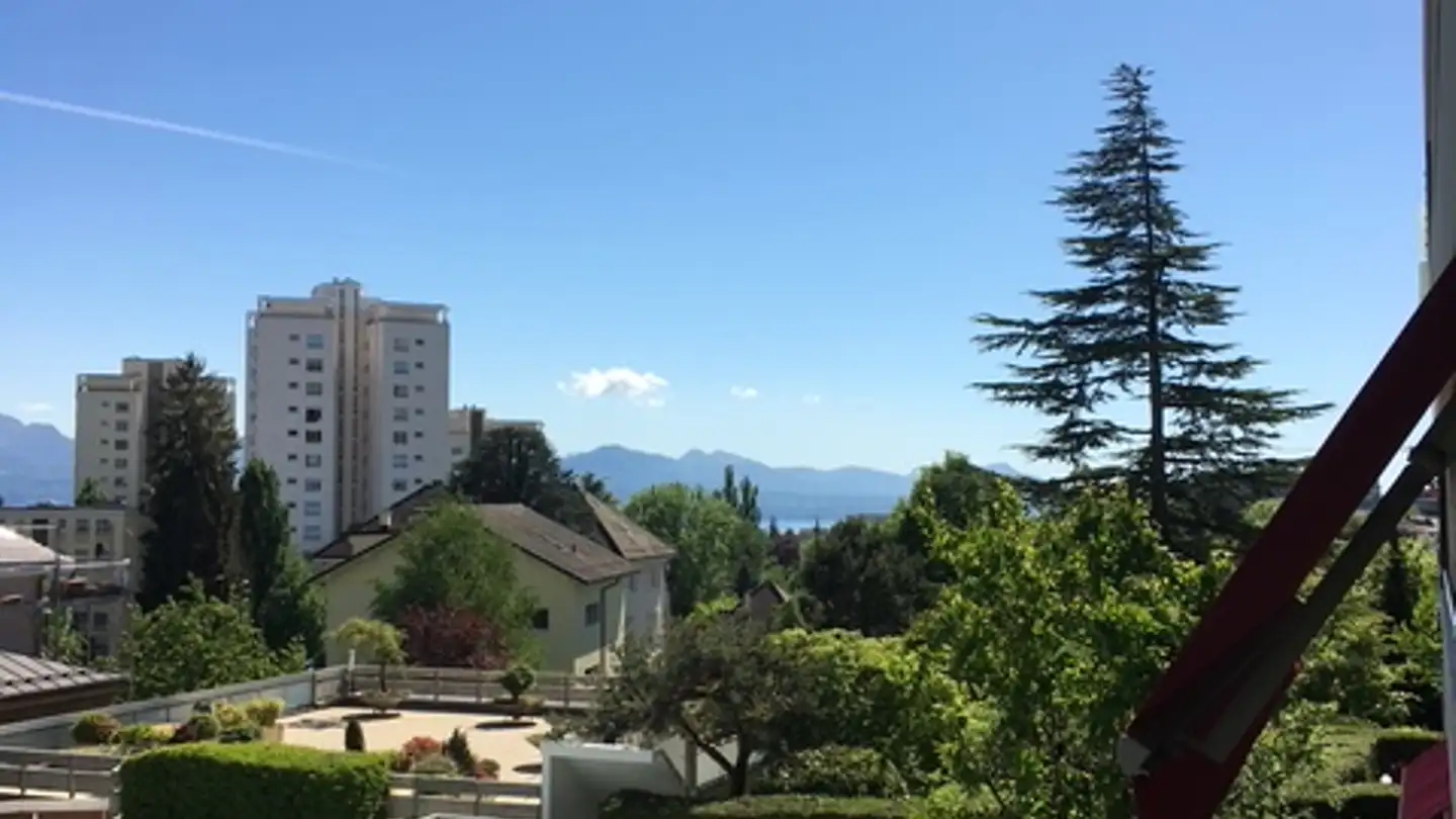 Appartamento in vendita - Chemin Du Devin 57, 1012 Lausanne - Foto 2