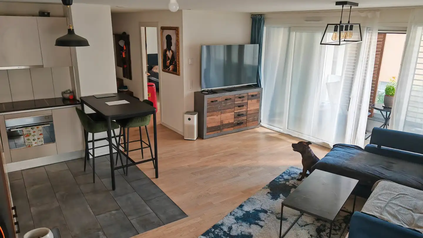 Appartamento in affitto - 1020 Renens VD