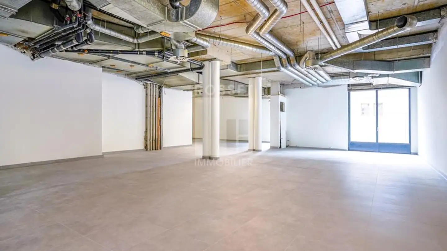 Magasin à louer - Rue De L'école De Médecine, 1205 Genève